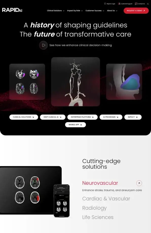 RapidAI
